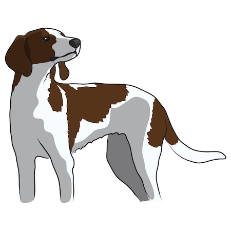 Signmission Treeing Walker Coonhound Dog Decal, Dog Lover Decor Vinyl Sticker D-12-Treeing Walker Coonhound